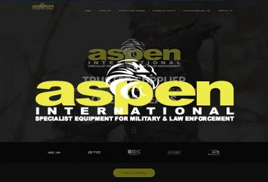 image for Aspen International Website with logo overtop